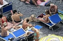 Screenshot 2025 01 15 At 3.40.54 Pm